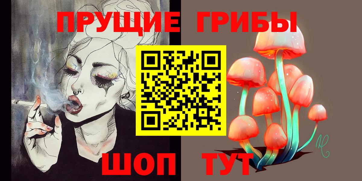Псилоцибиновые грибы прущие грибы Гатчина