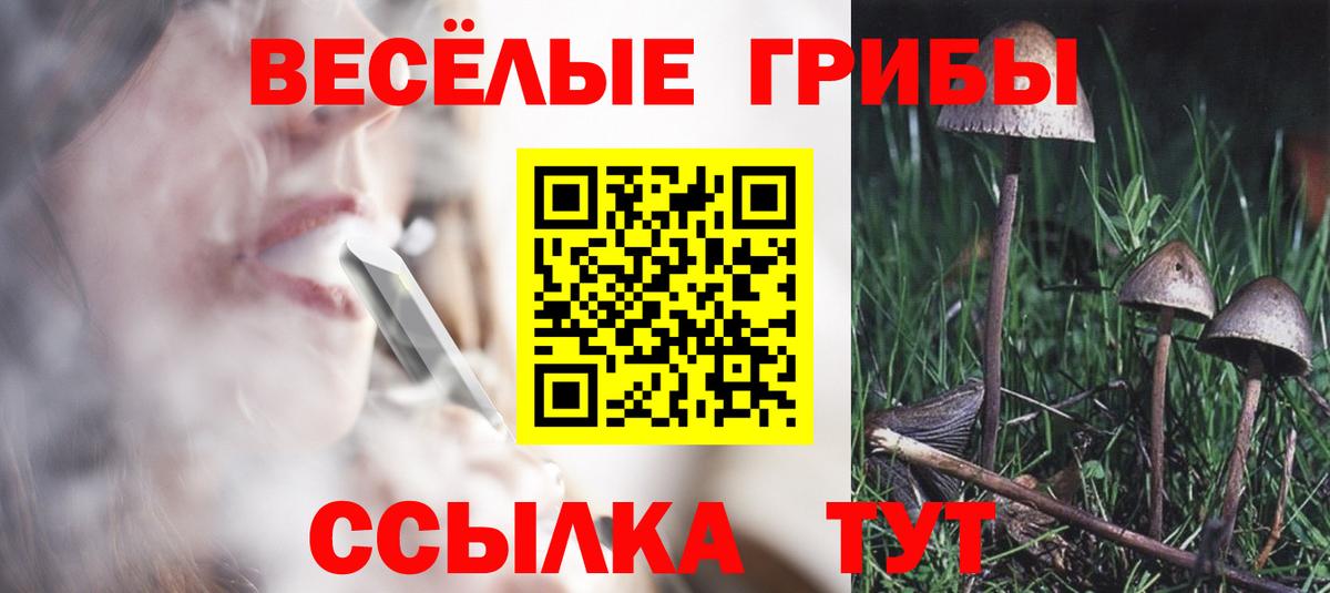 Галлюциногенные грибы Psilocybine cubensis  Вход с VPN  как найти закладки  Гатчина 